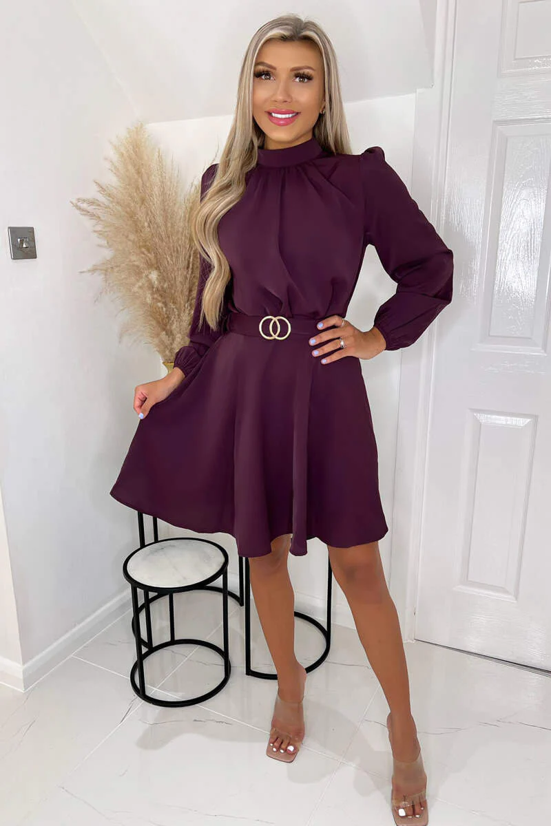 Plum High Neck Long Puff Sleeve Belted Skater Dress - Swimclubus