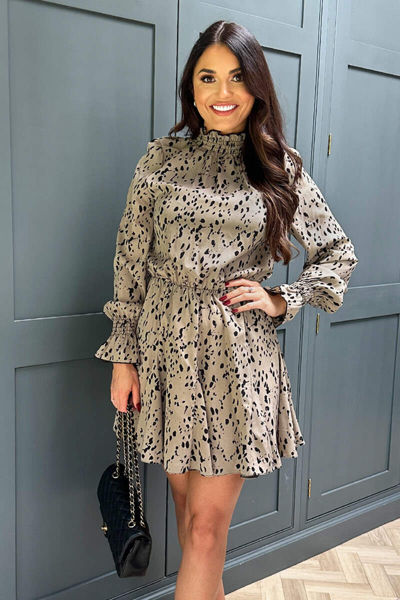 Beige Animal Print Long Sleeve Shirred Detail Skater Dress - Swimclubus